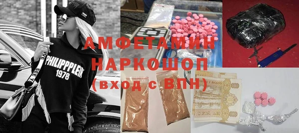 шишки Гусиноозёрск